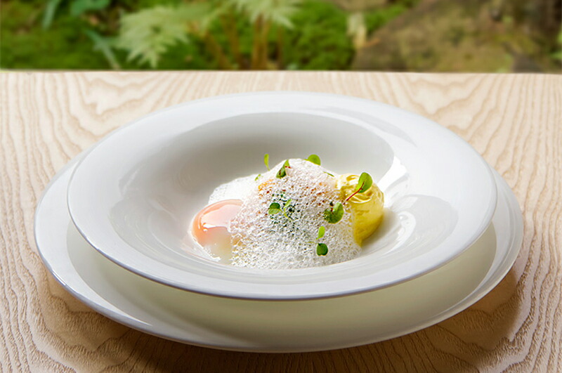 楽天市場】[NIKKO(ニッコー)]UYUN(ウユン)ペアパスタプレートセット