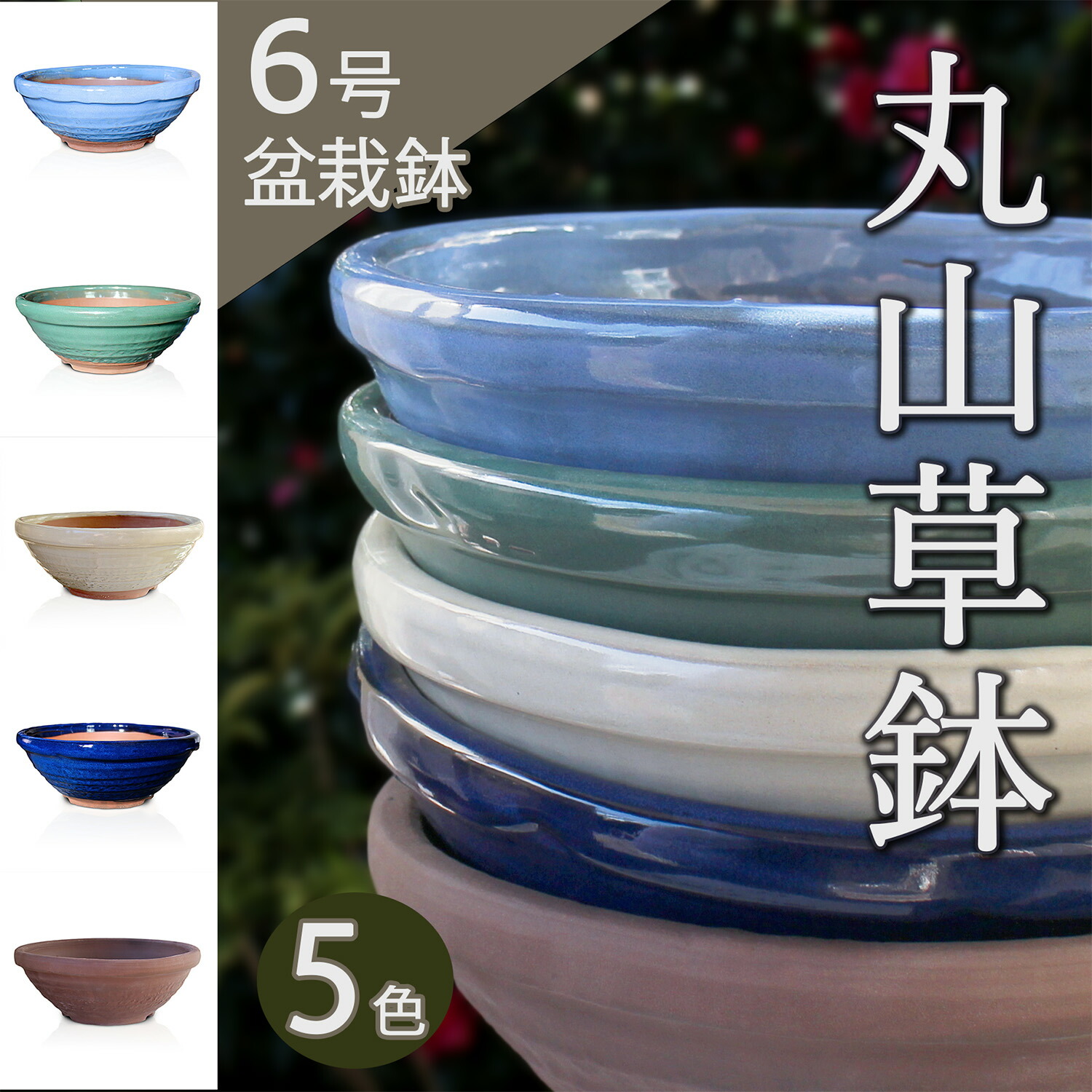 楽天市場】盆栽鉢 陶器 6号 丸山草鉢 おしゃれ 専門店 水色 緑 白 青