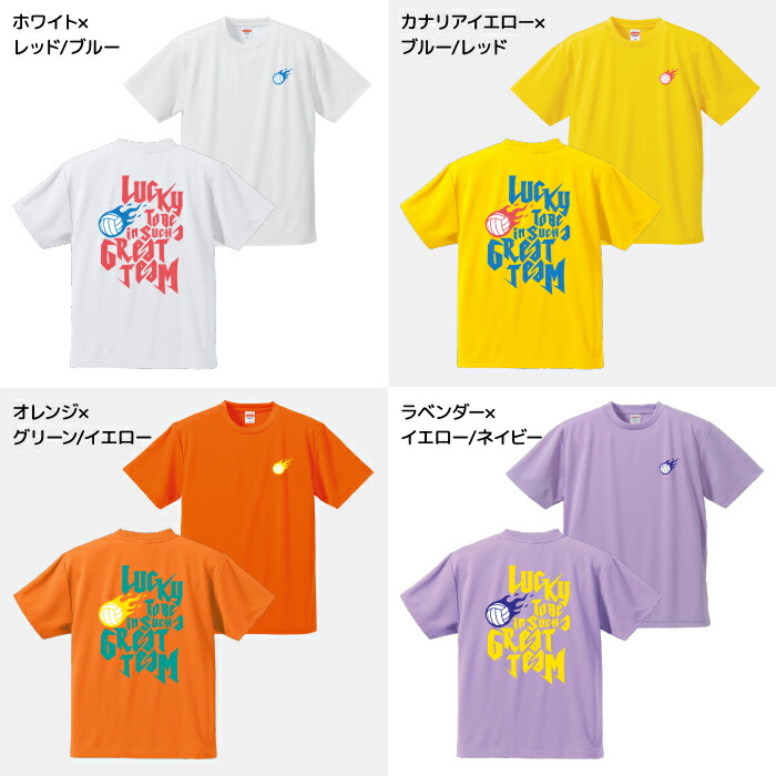 楽天市場】バレーボール Tシャツ 練習着 半袖 バックプリント 両面