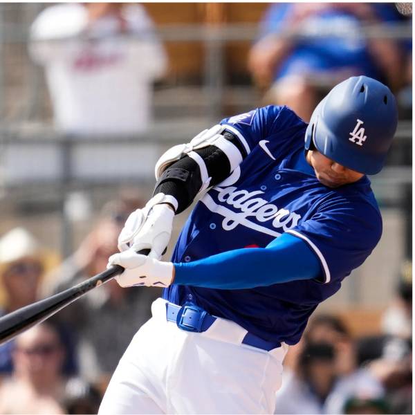 楽天市場】【送料無料】【Limited Edition☆限定仕様】 MLB