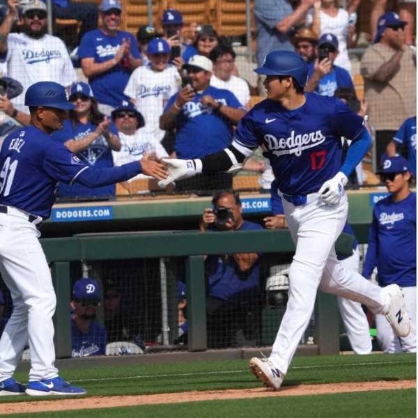 楽天市場】【送料無料】【Limited Edition☆限定仕様】 MLB