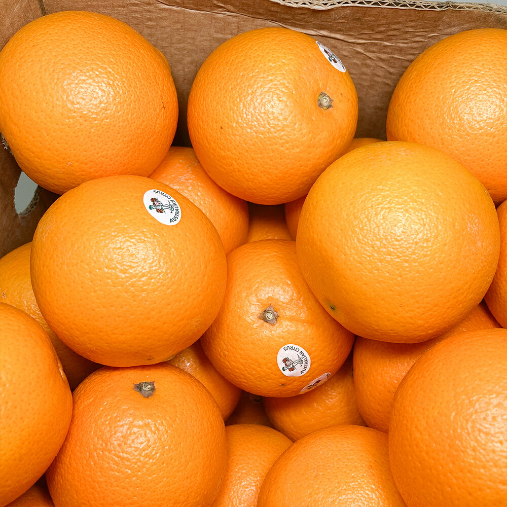 楽天市場】ネーブルオレンジ オーストラリア産 小箱 約2.8kg 約12玉 中