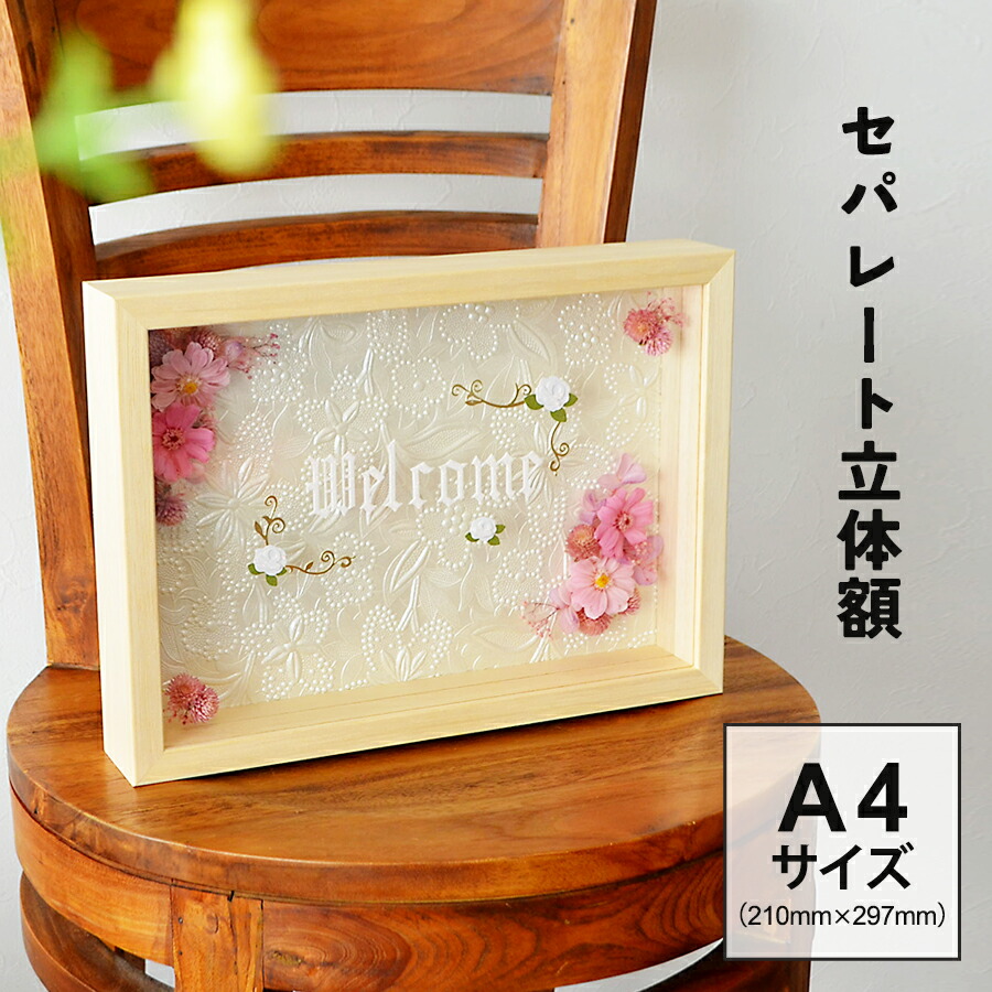 楽天市場】ボックスフレーム 立体額 セパレートタイプ フォトフレーム