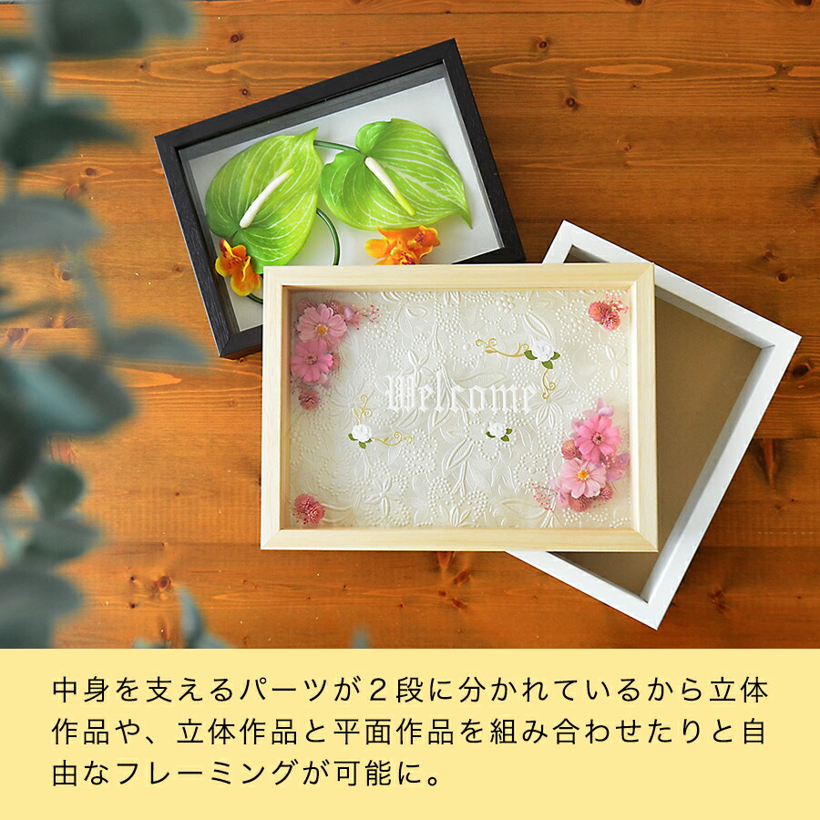 楽天市場】ボックスフレーム 立体額 セパレートタイプ フォトフレーム
