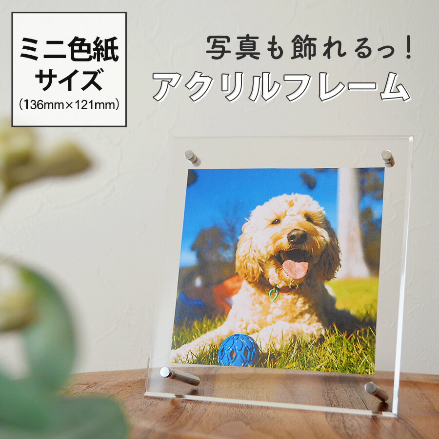 楽天市場】アクリルフレーム ミニ色紙サイズ 136×121 額縁 壁掛け