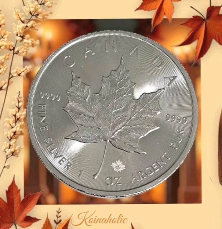 メイプルリーフ 銀貨 貨幣」の人気商品一覧 | 安い商品を通販サイト