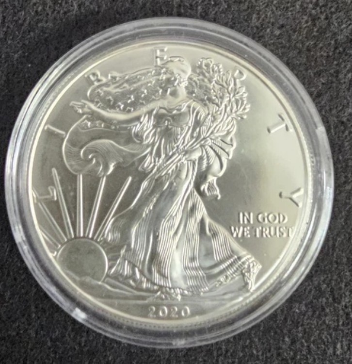 楽天市場】2020 アメリカ イーグル銀貨 1オンスの通販