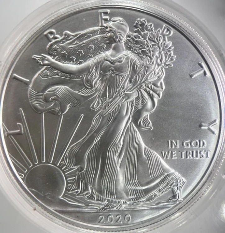 楽天市場】2020 アメリカ イーグル銀貨 1オンスの通販