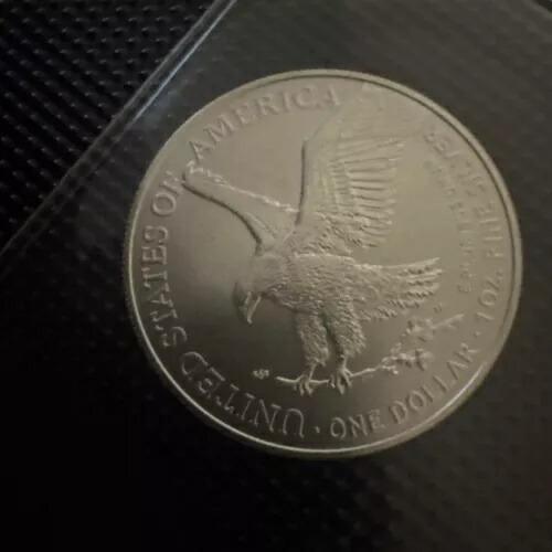 銀貨 イーグル」の人気商品一覧 | 安い商品を通販サイトから探す