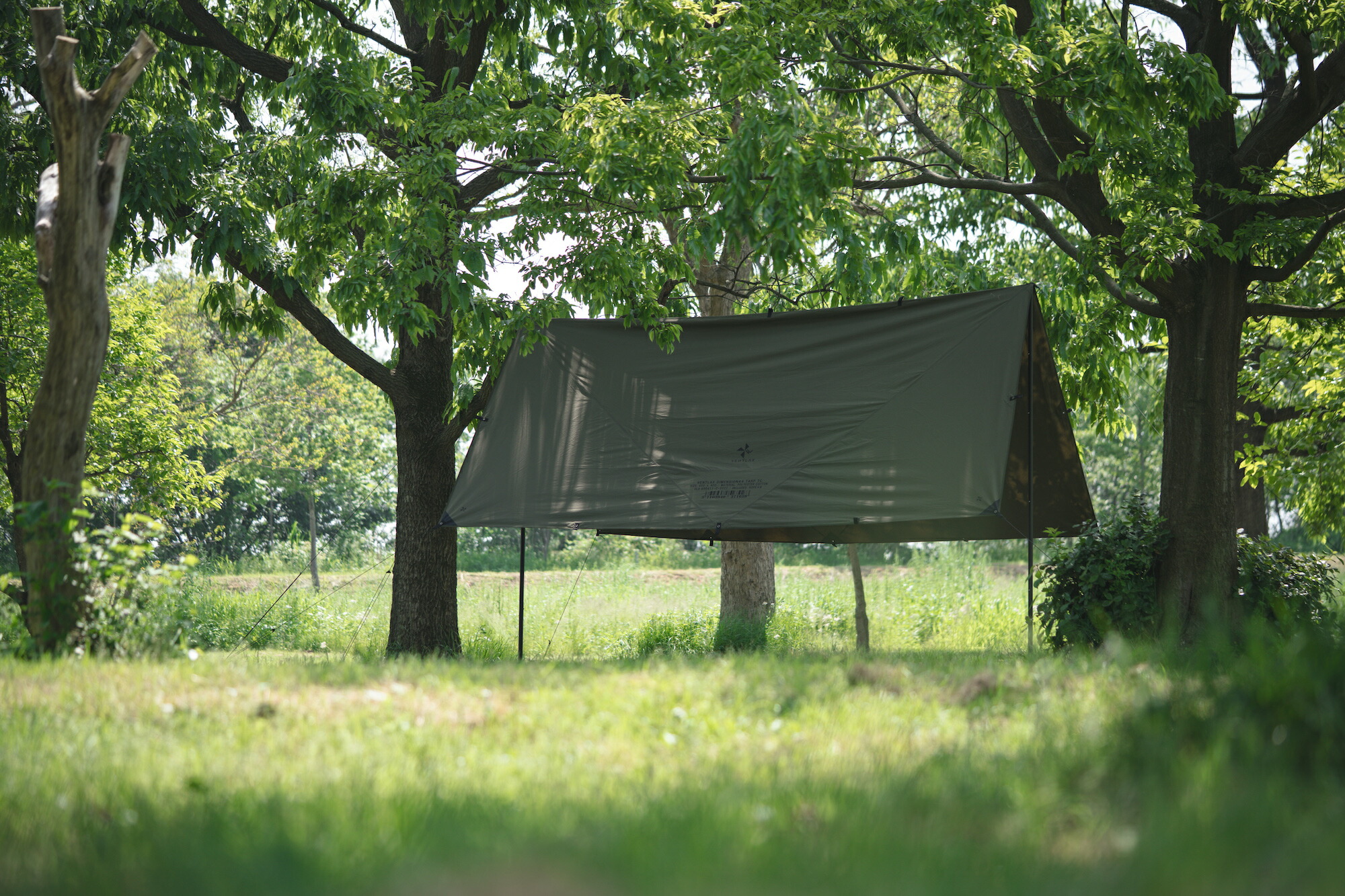 楽天市場】【公式】VENTLAX ヴェントラクス DIMENSION44 TARP v2