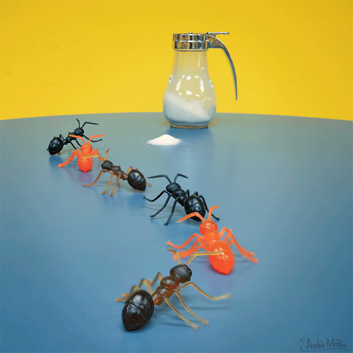 楽天市場】ビッグなアリのフィギュア 【6匹セット】 ANTS あり 虫 昆虫