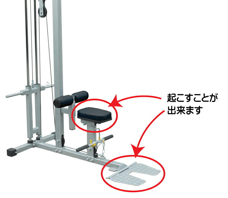 楽天市場】WILD FIT(ワイルドフィット) ラットマシン 【impulse