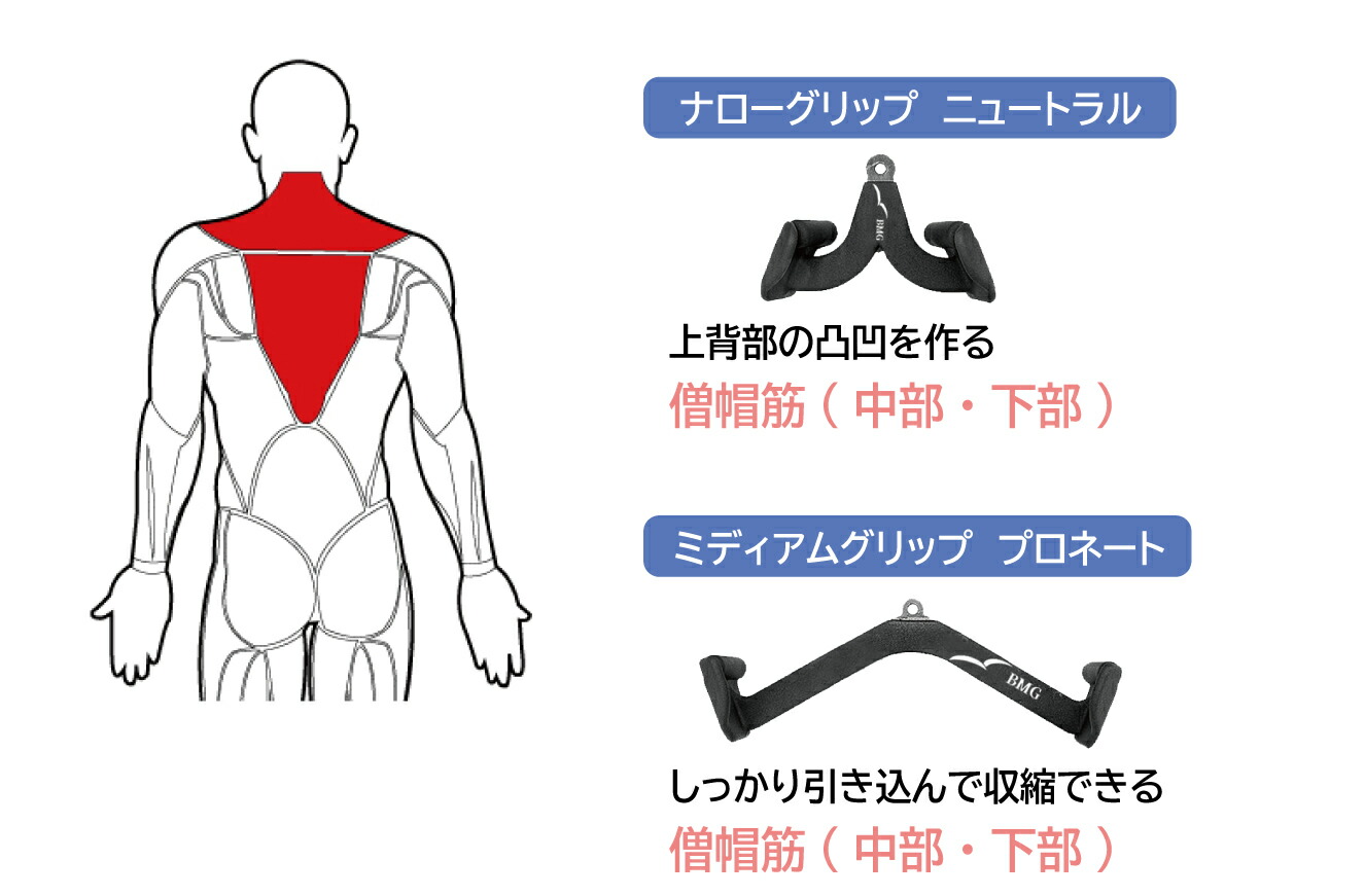 楽天市場】バックマッスルグリップ (5種)送料無料 筋トレ トレーニング