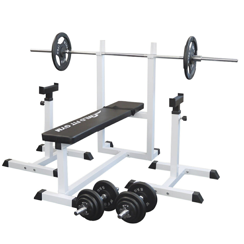 楽天市場】WILD FIT (ワイルドフィット) トレーニングジムセット