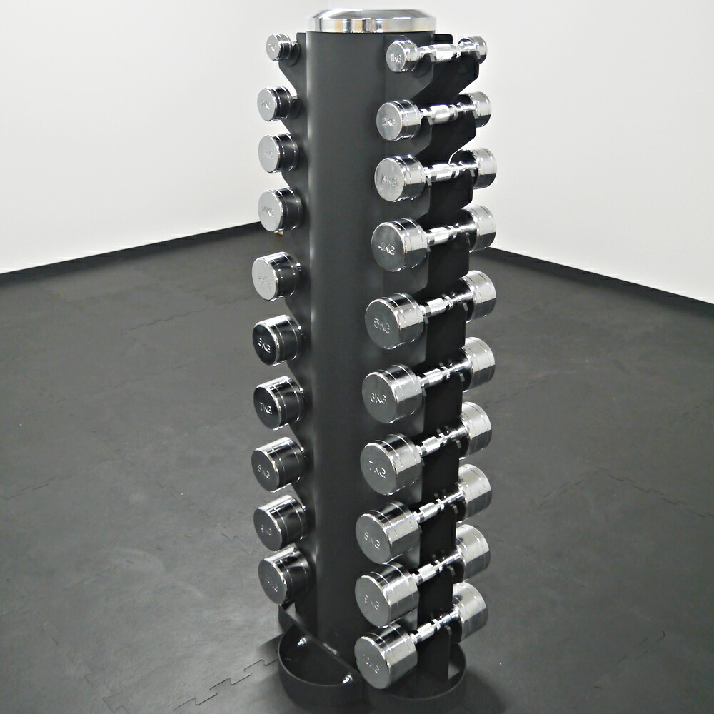 楽天市場】WILD FIT(ワイルドフィット) 縦型ダンベルラック (10対)送料