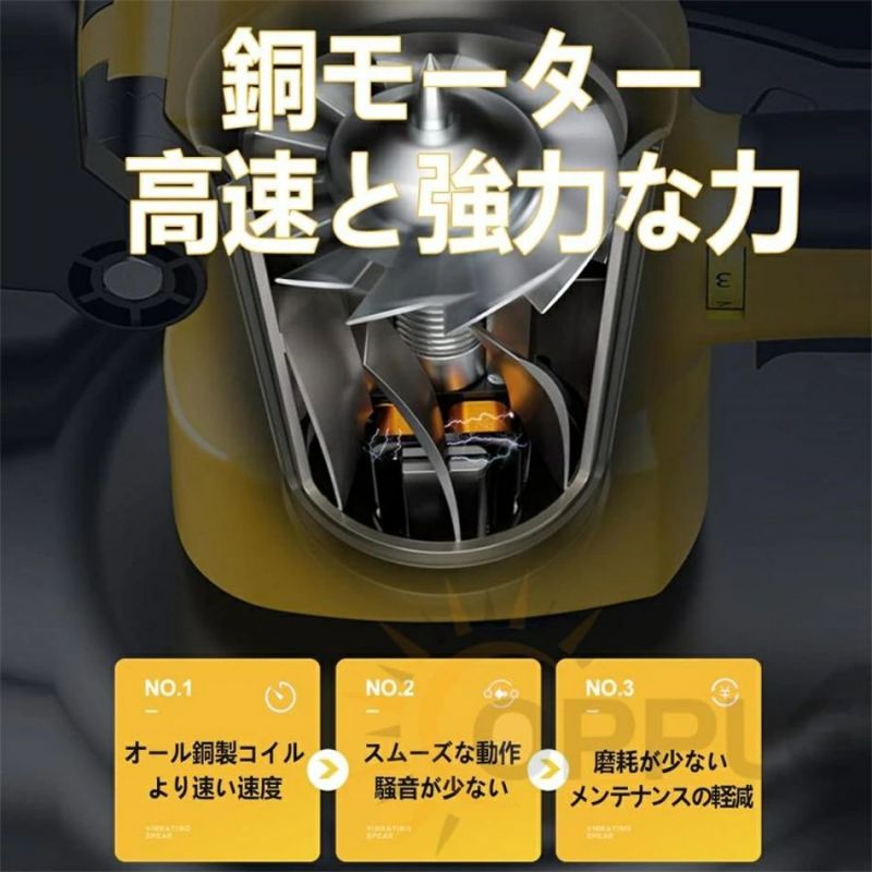 Franklin Mint フランスの 銀貨 portrait Charlesの通販はau PAY