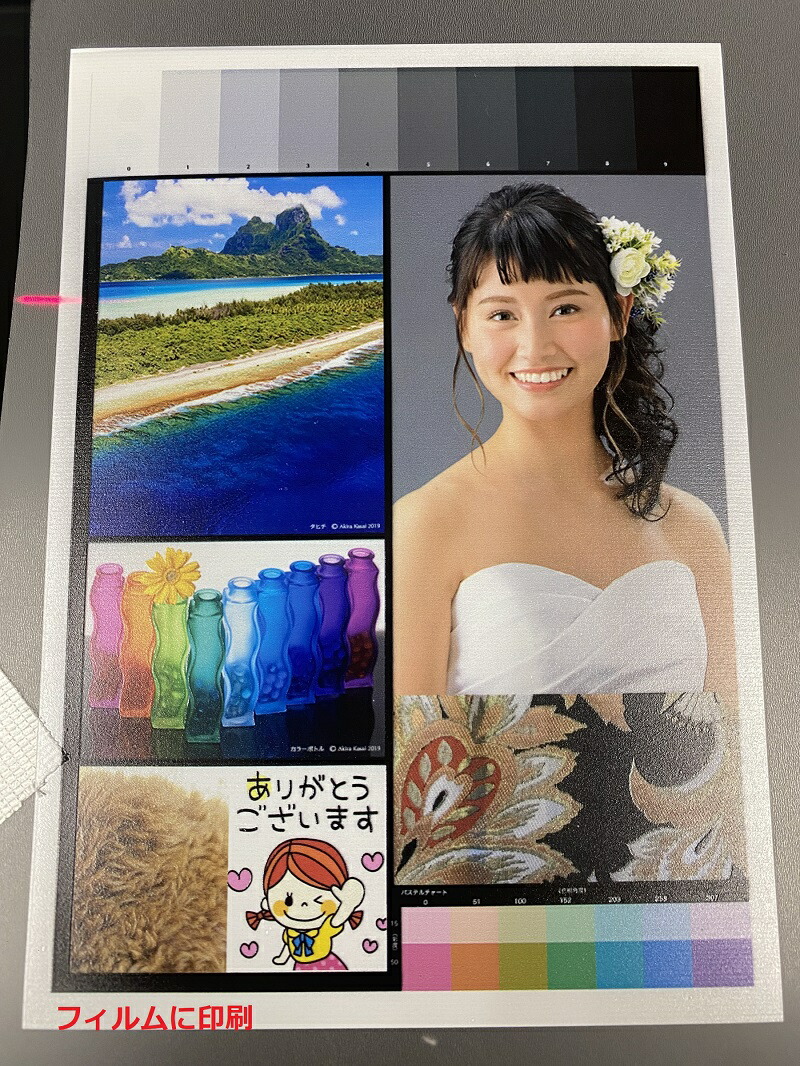 楽天市場】A4サイズUVプリンター Newモデル バードランドUVP-A4XP UV