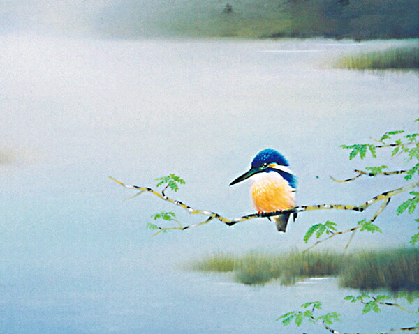 楽天市場】掛け軸 掛軸（かけじく） 川蝉 （佐藤 眉山）全国送料無料