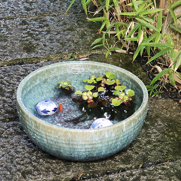 楽天市場】水鉢 すいれん鉢 信楽焼すいれん鉢 メダカ鉢、 金魚鉢にも