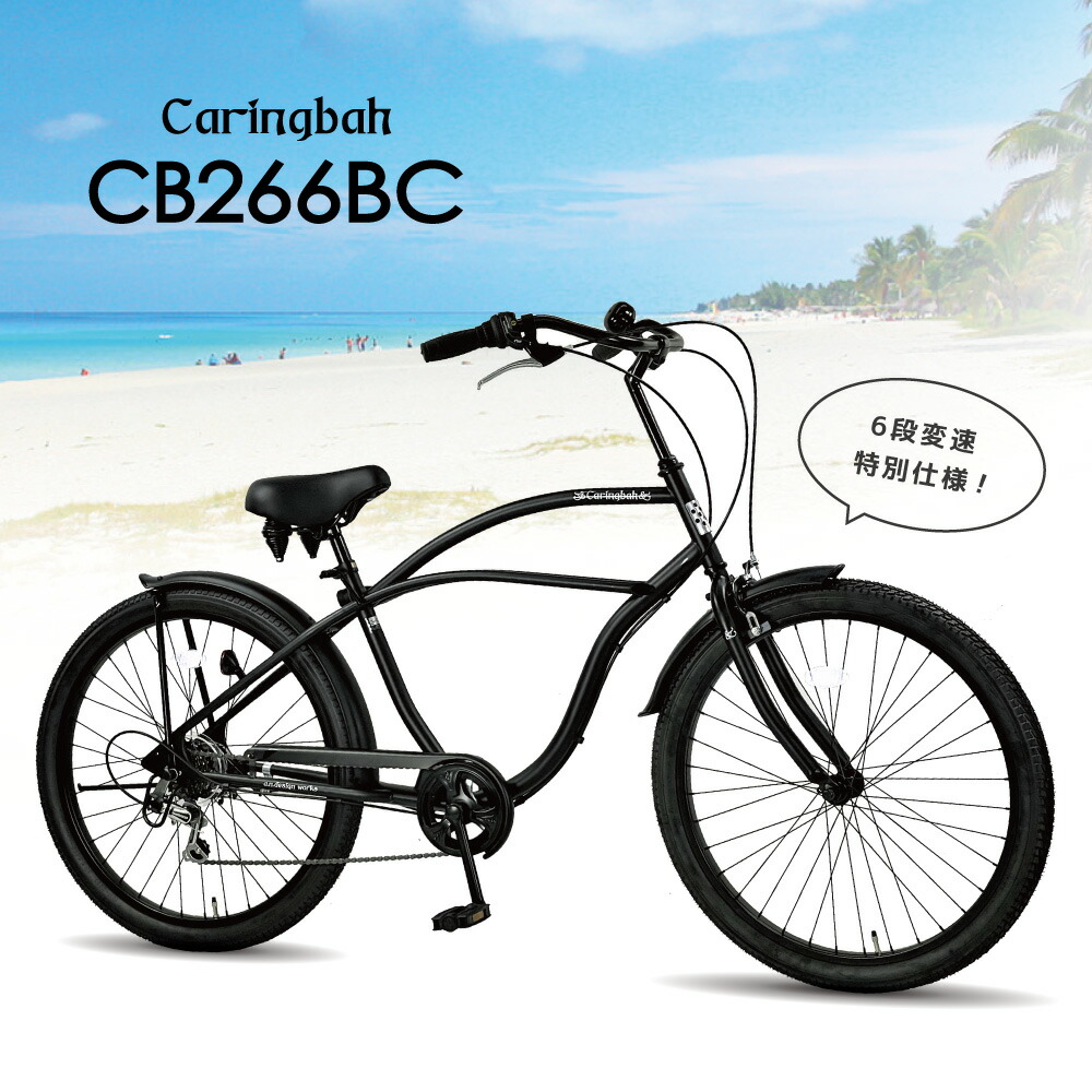 楽天市場】【訳あり！在庫限りの大特価】【送料無料ヤクシン完全組立