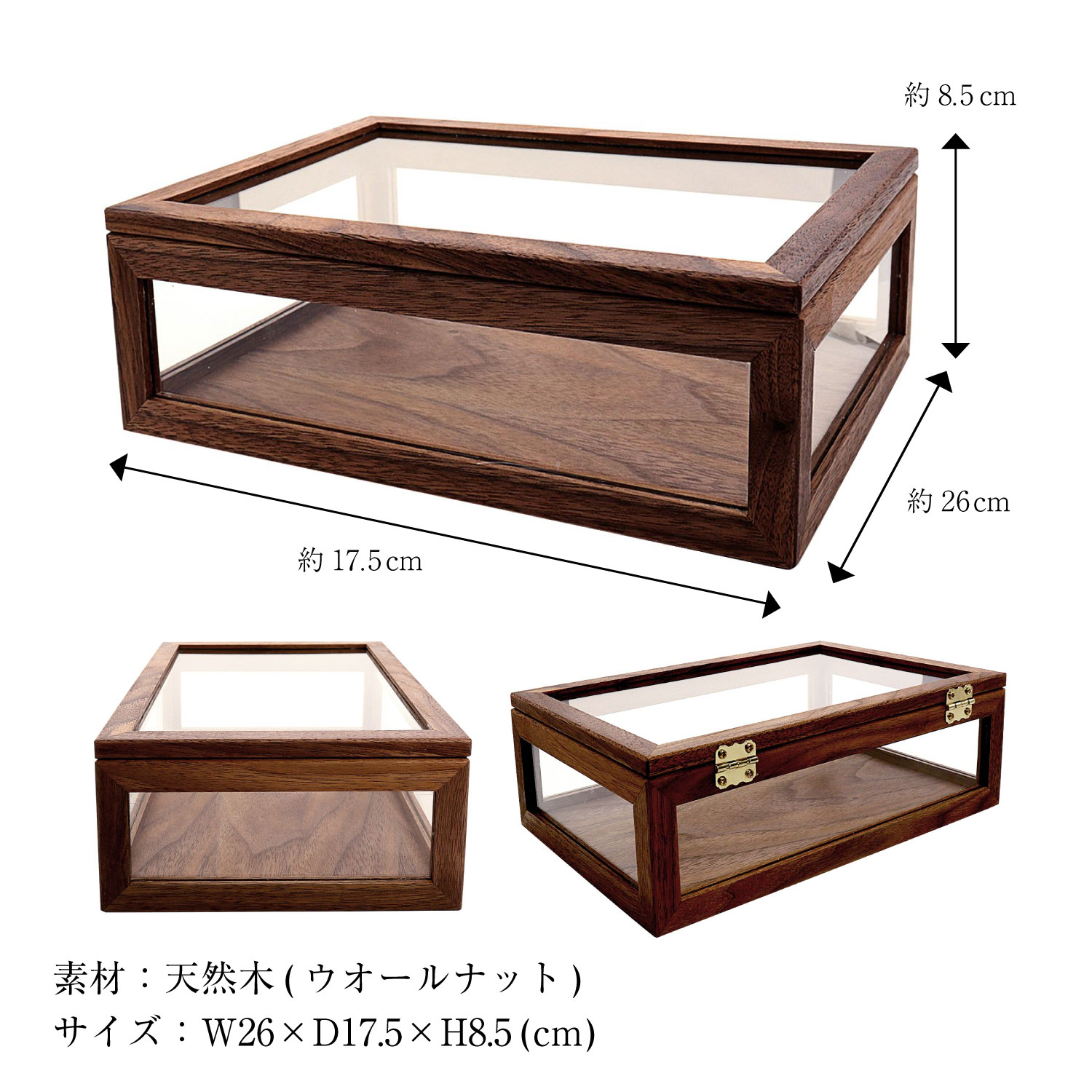 楽天市場】コレクションボックス ジュエリー ボックス 木製