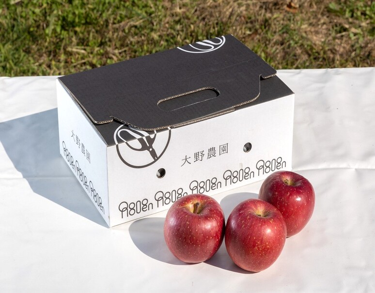 大野農園「完熟サンふじ」福島県石川町産りんご 約2kg（5〜8玉）L〜3L