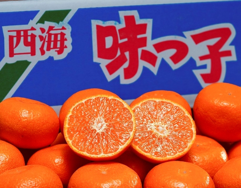 糖度13度以上「味っ子みかん」長崎県産 マル秀〜秀 S〜L 約5kg 産地箱