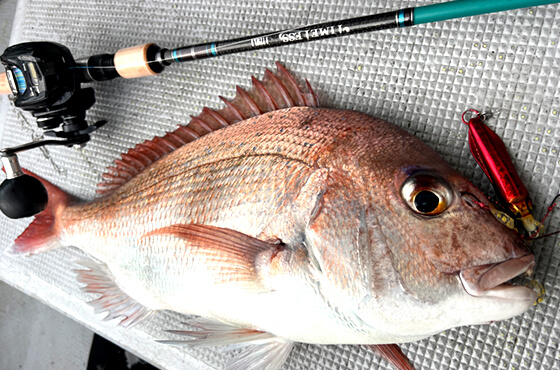 オフショア2025】メタルジグ（金属）とタイラバ（ソフト）の融合！小