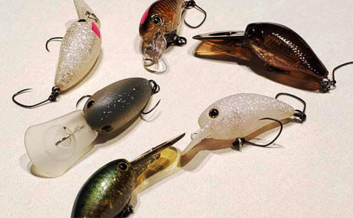 釣れる【エリアトラウト用クランク8選】 実績抜群のおすすめルアーを
