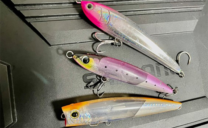 磯でのルアー青物釣りで93cmヒラマサをキャッチ【長崎】プラグにヒット