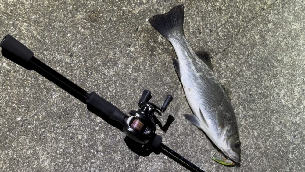 LightSwicher 73/78 | TRUTH JAPAN