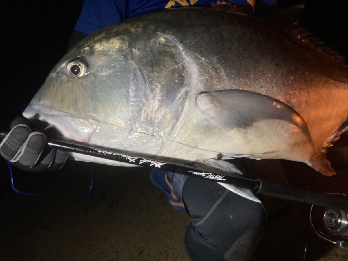 BlackDimension 106 MajesticResistance（ROCK SHORE BLUE RUNNER