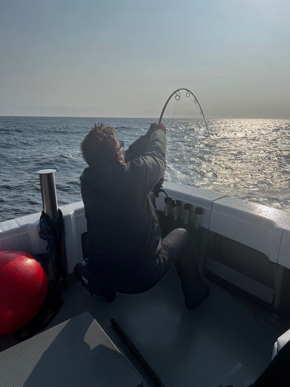 WhiteInsight 7415 | TRUTH JAPAN