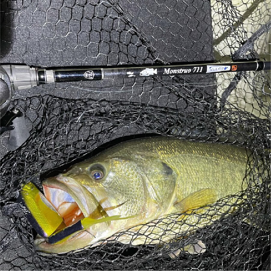 Monstruo“G”711XHC – TULALA online store