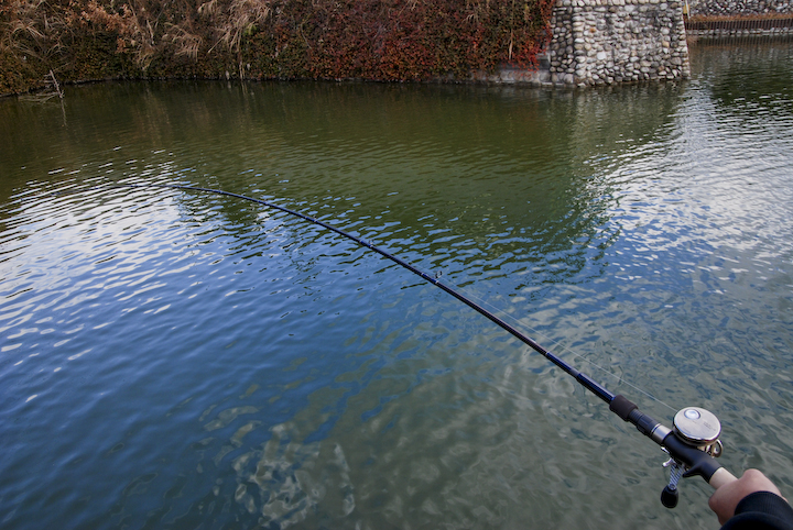 ツララ エルホリゾンテ78│TULALA El Horizonte 78