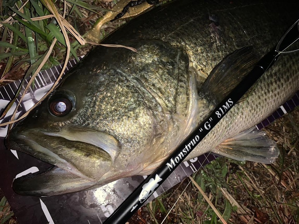 TULALA | Ford every stream | » 【公式】モンストロ“G”ってどんな竿