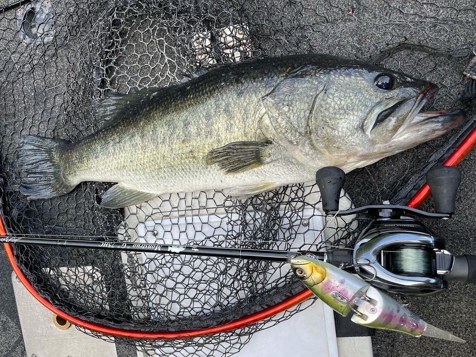 TULALA | Ford every stream | » 【公式】モンストロ“G”ってどんな竿