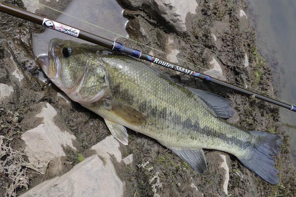 TULALA | Ford every stream | » 【STAFF】ルーツS68ML テスト近況報告！