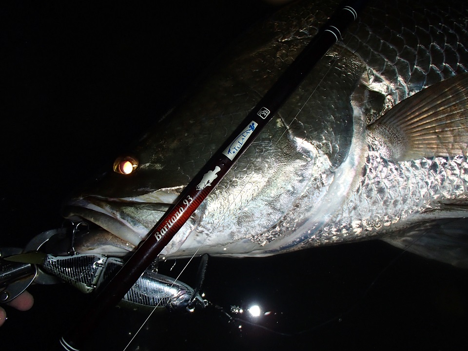 TULALA | Ford every stream | » 【公式】遠征向けアカメ＆大型