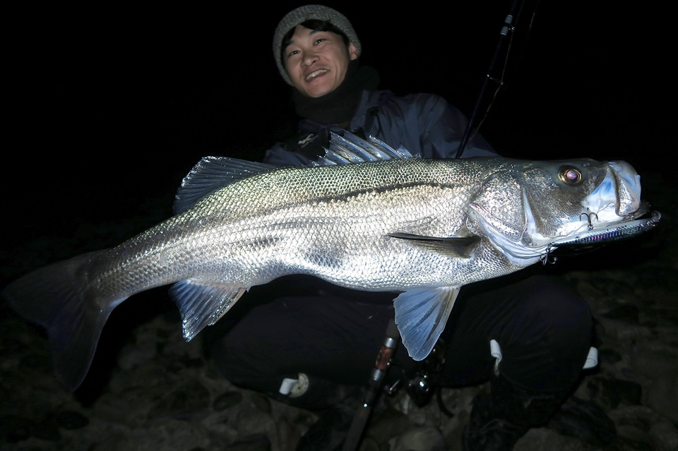 TULALA | Ford every stream | » 【STAFF】スタッカート810MSSｰHXが