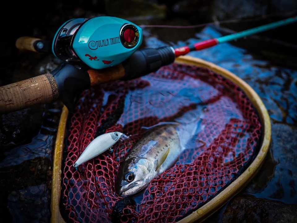 TULALA | Ford every stream | » 【公式】祝渓流解禁！Clerus411の