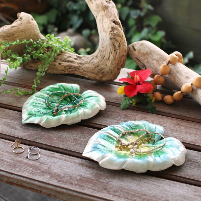 カピストレイ モンステラリーフ 貝殻 インテリア雑貨 アクセサリー