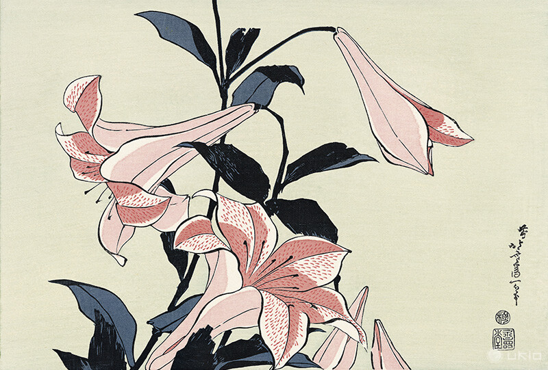 百合／葛飾北斎 | ukio（ウキオ） | 浮世絵のサブスクレンタルサービス