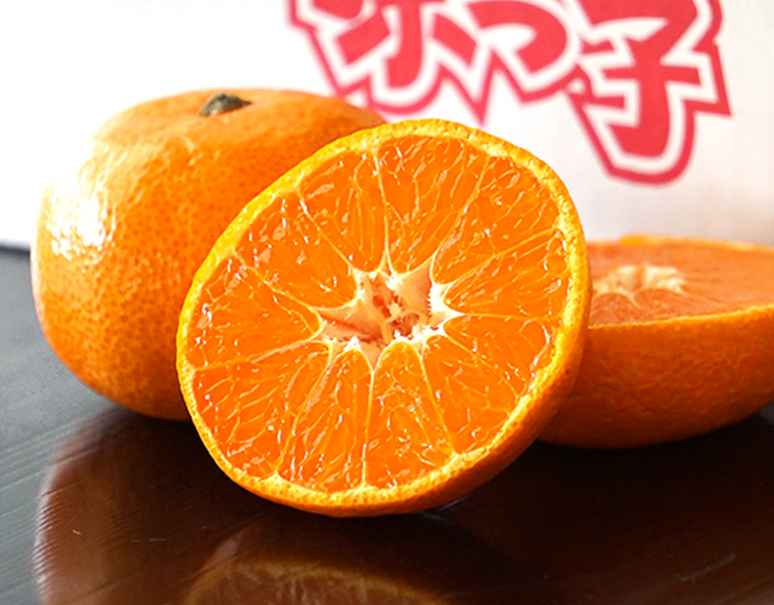 糖度13度以上「ハウス 味っ子みかん（早生種）」長崎県産 M〜L 約2.5kg