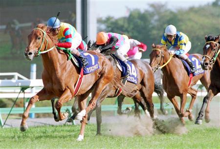 アグネスタキオンの死因は急性心不全｜競馬ニュース｜競馬予想のウマニティ