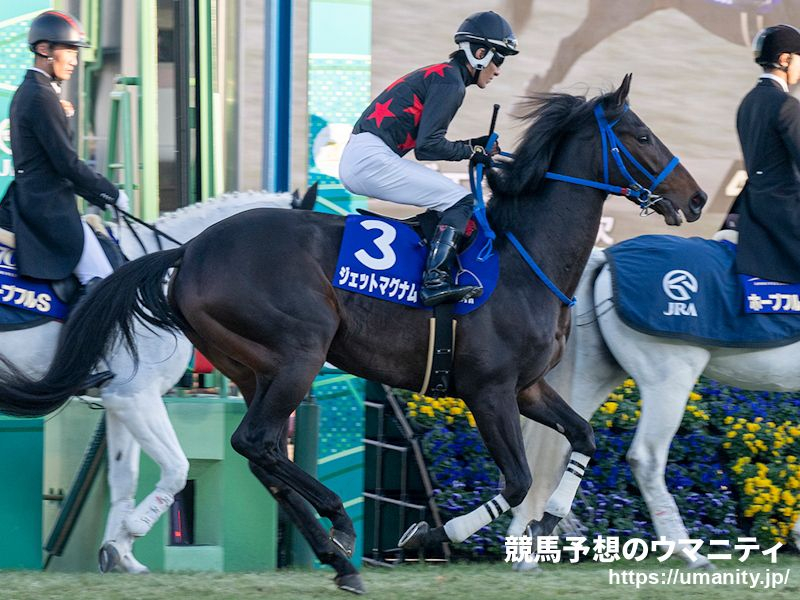 きさらぎ賞2025】血統アナリシス 動向が注視されるディープインパクト