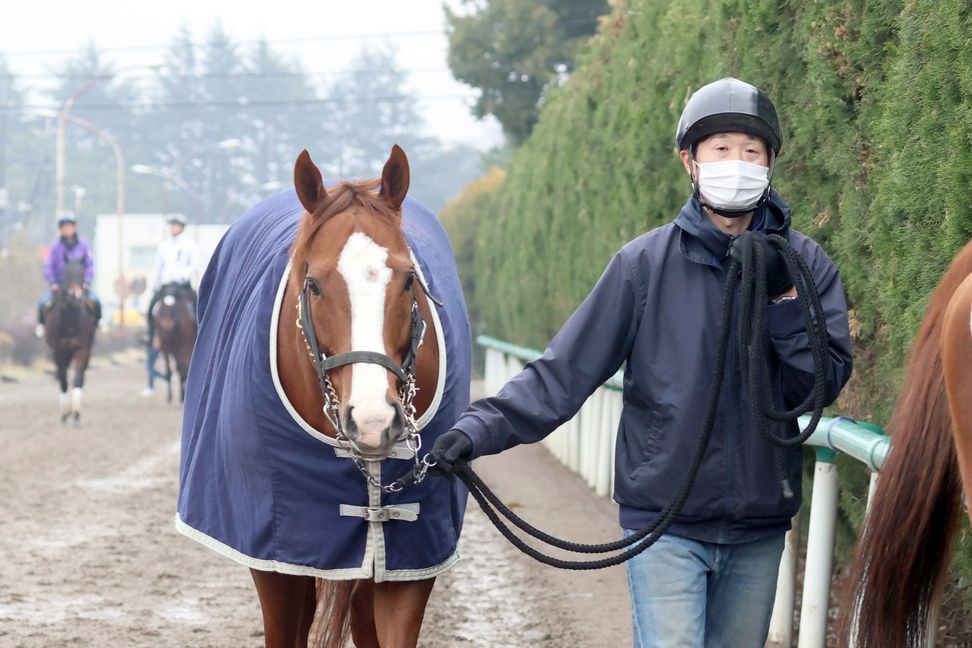 高松宮記念 俺のチェックポイント】ナランフレグ充実！中2週でも大丈