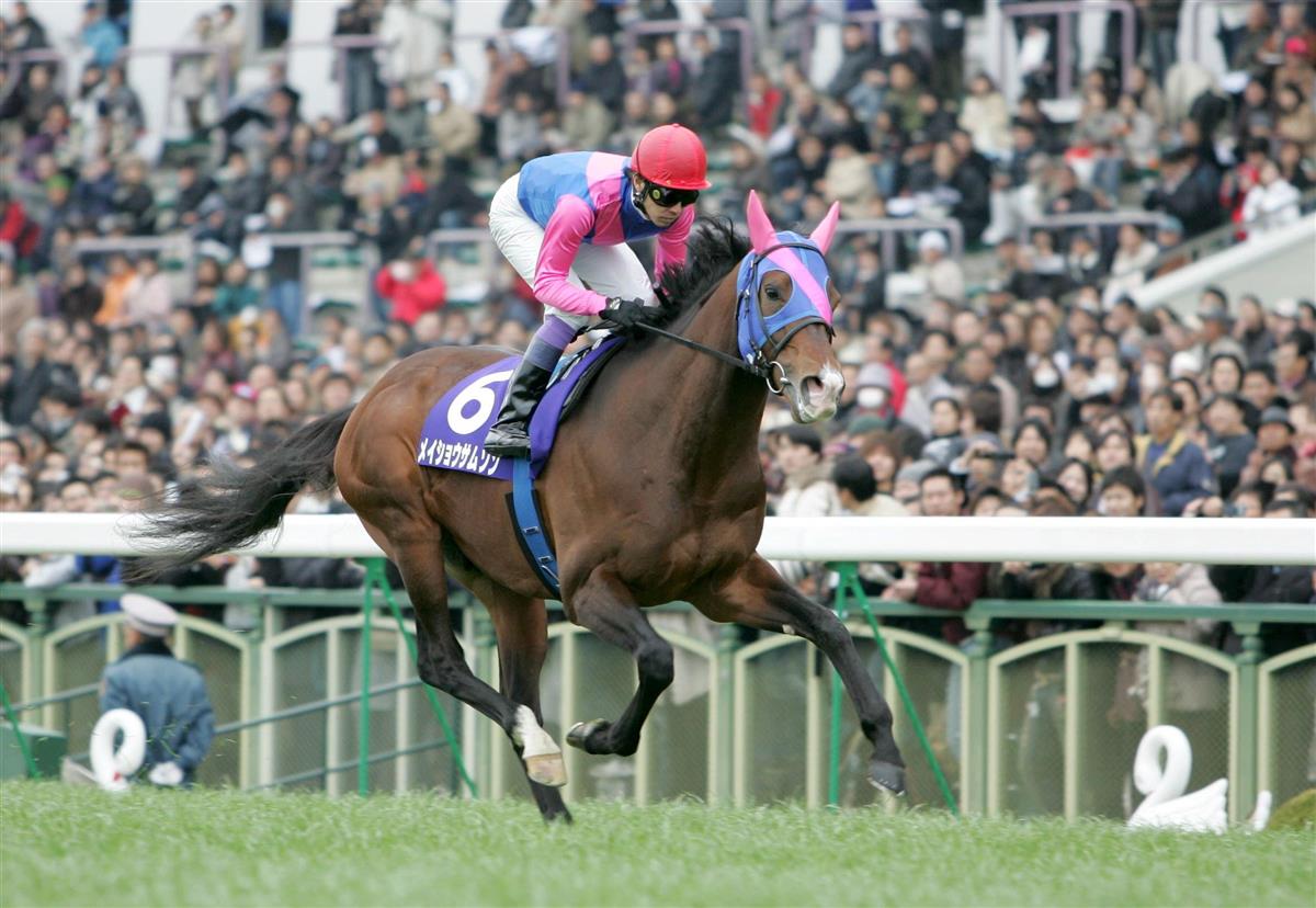 メイショウサムソンが種牡馬を引退｜競馬ニュース｜競馬予想のウマニティ