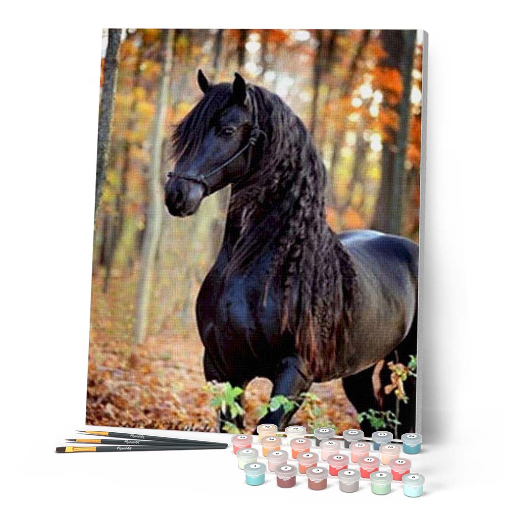 Paint by numbers - Black Horse in the Forest – Figured'Art