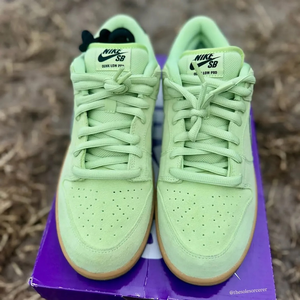 Nike SB Dunk Low Pro “Verdugo Mountain”が国内9月27日／9月29日より